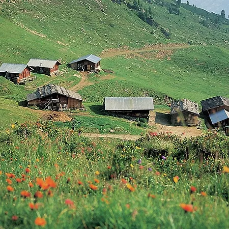 Schleicherhof 1